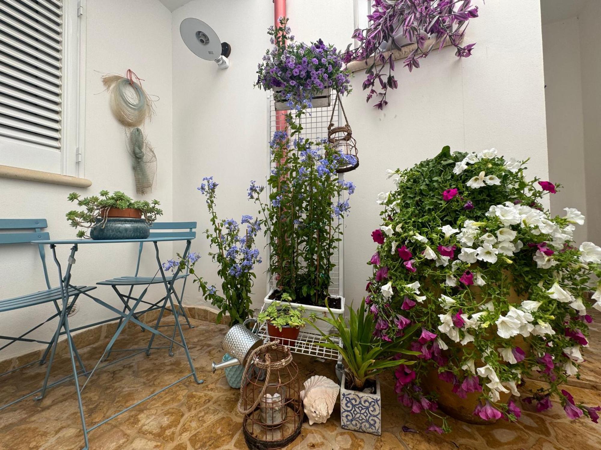 פורטו צ'זראו B&B Vie Del Mediterraneo מראה חיצוני תמונה